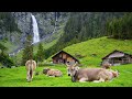 Soothing Stress Relief Music With Beautiful Nature 🍀 Stop Anxiety, Depression & Bad Vibes