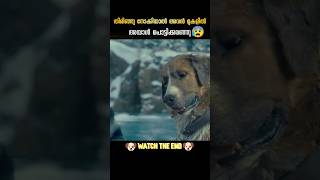 ആ കാഴ്ച കണ്ടു ഞെട്ടി..🙆‍♂️| DBZscenezz #shorts #ytshorts