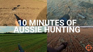 10 Minutes of PURE AUSSIE HUNTING