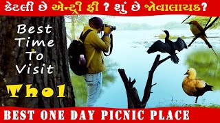 Thol Bird Sanctuary Gujarat🦩|| Ahmedabad To Thol Bird Sanctuary || Travel Vlog Gujarat