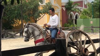 Mexikói ebéd Xcaret-ben/Mexikó 🇲🇽/magyarok Mexikóban/Mexikói lovas