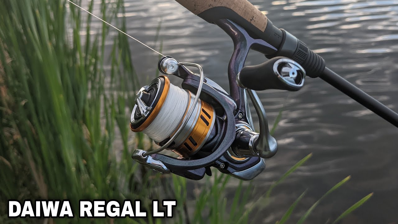 The Best $50 Spinning Reel? Daiwa Regal LT 1000D - YouTube