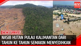 HUTAN INDAH KALIMANTAN TERANCAM PUNAH ?