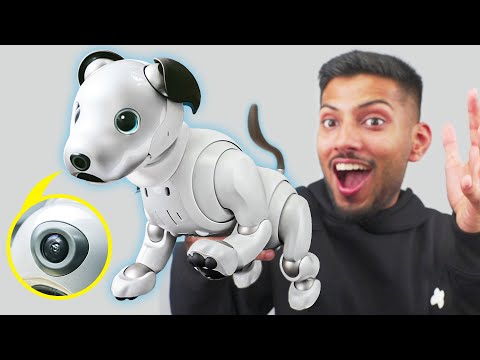 ₹5,00,000 Smart Robot Dog !