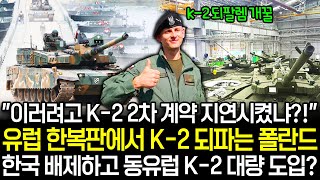 유럽 한복판에서 K-2 되파는 폴란드, 한국 배제하고 동유럽 K-2 대량 도입가나?