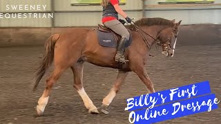 Billy's First Online Dressage Test | Dressage Riders Online | DI Prelim 5 | Sweeney Equestrian