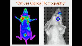 Physical limits of optical imaging