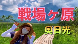 【4K映像】奥日光　戦場ヶ原ハイキング【赤沼〜泉門池〜湯滝】