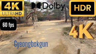 Gyeongbokgun 4k video