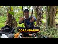 ASIK JORAN BARU ll Kompilasi Video Mancing Pusanggala #pusanggala #mancing #mancingliar #bolang