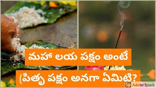 మహా లయ పక్షం అంటే ఏమిటి ( పితృ పక్షం అనగా ఏమిటి?