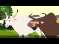 شیر اور بھینسیں tiger and buffaloes in urdu urdu story urdu fairy tales