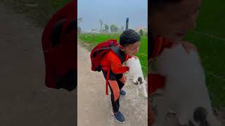 माँ प्यारे से कैट को भूख लगी है ❤️🙏 #shorts #trending #love #viralvideo #maa #cat