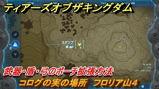 ティアキン　コログの実の場所　フロリア山４　武器・盾・弓のポーチ拡張方法　＃９８４　【ゼルダの伝説ティアーズオブザキングダム】