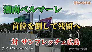 【湘南ベルマーレvsサンフレッチェ広島・】241019 J1リーグ・スタジアムに行けなかった人達へ