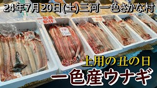 【土用の丑の日】一色産ウナギ