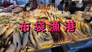 布袋漁港觀光魚市-Budai Tourist Fish Market