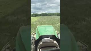 silage 2022