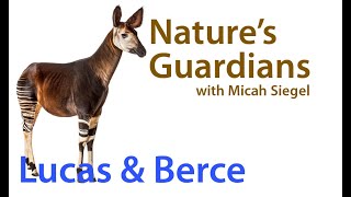 Lucas and Berce on Okapis in Congo