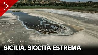 Grave siccità in Sicilia, laghi in sofferenza: al posto dell'acqua distese di terra