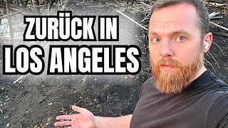 Zurück in LOS ANGELES | Alles wie vorher?