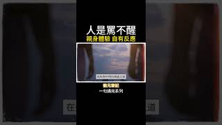 當一個人覺得一切都是別人的問題，那就完蛋了#心理學 #鶴兄筆記 #愛情 #失戀 #離婚 #背叛 #金錢 #破產 #重疾 #死亡 #覺醒 #重生 #活着 #意義 #歸因 #反省 #成長