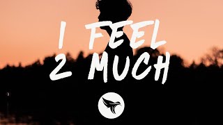 blackbear - i feel 2 much (Lyrics)