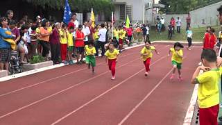 2015.11.21 公明國小47週年校慶運動會__女生組 個人賽跑 決賽