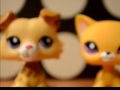 littlest pet shop nowe lps