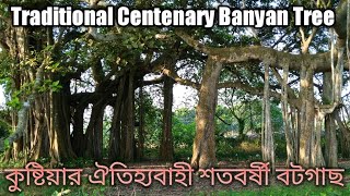 কুষ্টিয়ার ঐতিহ্যবাহী শতবর্ষী বটগাছ | TRADITIONAL CENTENARY BANYAN TREE | KUSHTIA | BANGLADESH |