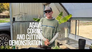 Agave coring and cutting demonstration by Tony Krock