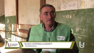 N3 არლის უბანი – პირველი ამომრჩეველი