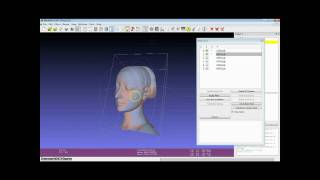 3D Scanning: Alignment