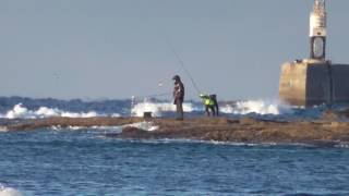 みなべ町目津崎地磯カンスの釣り人　２月１９日日曜日