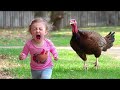 baby and animal crying babies with animals moments funny baby videos just funniest