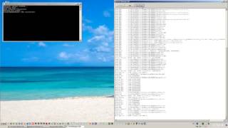 writing a debugger test
