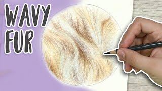 How To Draw WAVY FUR | Colored Pencil Drawing Tutorial