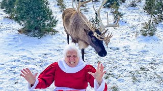 Grandma Gets Trampled By a Reindeer | Ross Smith