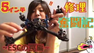 【FPV/修理】5インチドローン修理奮闘記〜ESC交換の罠編〜【drone/5inch】