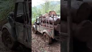 Gaz 69 - Uaz 452 - Gaz 53  From Georgia #gaz69 #uaz #gaz53 #500subs #truck #cars #georgia #offroad