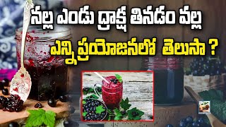 నల్ల ఎండు ద్రాక్షకు ఎన్ని ప్రయోజనలో  తెలుసా ? The Best Benefits Of Having Black Grapes In Daily Diet