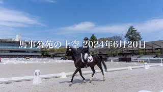 馬事公苑の上空 6月20日