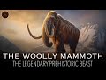 The Woolly Mammoth: A Legend of the Cenozoic Era | Pre-Historic Animals Documentary