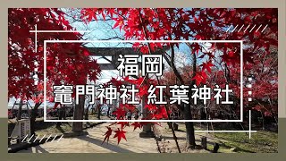 日本 九州 福岡  博多 太宰府 | 不自駕也能到 賞楓好去處 | 竈門神社  紅葉神社  秋意盎然的色彩迷人紅葉與金黃銀杏共舞的季節  挽肉與米  舞鶴公園  大濠公園  #九州 #博多 #福岡