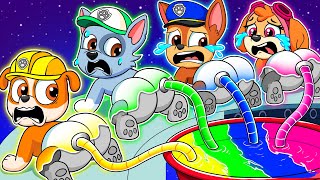 Paw Patrol Ultimate Rescue | Color Are Missing, But Brewing Cute Baby Factory!? | Rainbow 3