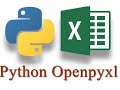 Python Demo: Using openpyxl to read, parse, and 