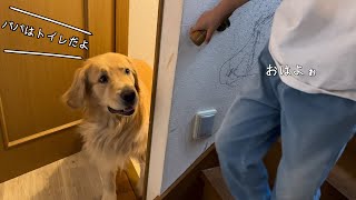 迷いなく使用中トイレに入ってくる人（犬）たち