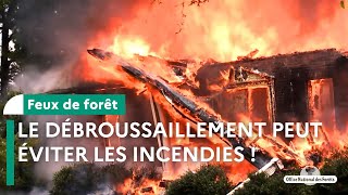 Pour éviter les feux de forêt, débroussaillez !