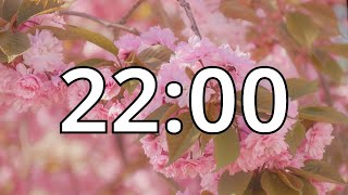 22 Minutes Timer with Relaxing Music | Cherry Blossom Timer