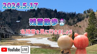 【🐻ラジG】2024.5.21/残雪散歩/名残雪を見に行きましょう☃️☃️☃️